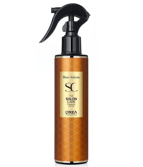 더 살롱 케어 블로우 볼륨